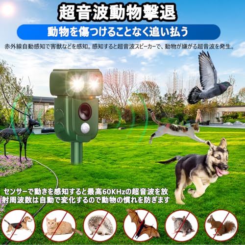 xunbida 超音波動物撃退器 120°広角12m感知 3000mAh大容量 太陽光&USB充電 IP65防水 4モード切替 赤外線センサー搭載 庭・畑用 害獣・猫・犬・鳥・ネズミ対策 ABS+鉄製
